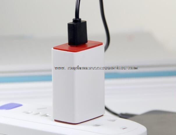 Travel Wall Charger