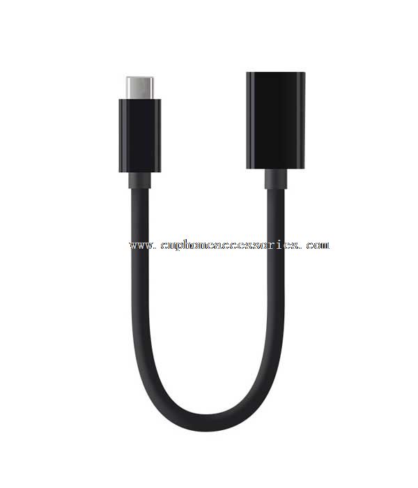 USB câble de TYPE C