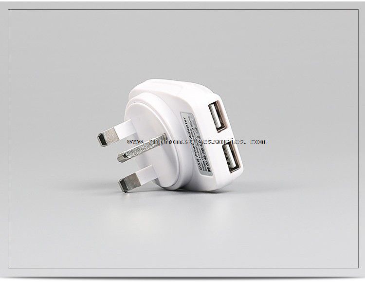 Universal travel adapter with 2 usb port