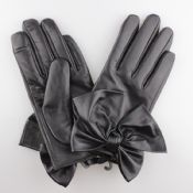 elegant sexy women leather glove images