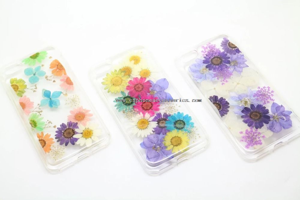 Real Flower Cell Phone TPU Case for iPhone Phone Case