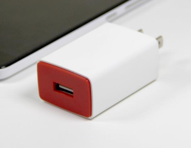 Travel Wall Charger